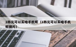 1韩元可以买啥手机呢（1韩元可以买啥手机呢图片）