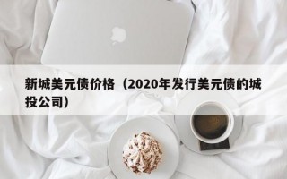 新城美元债价格（2020年发行美元债的城投公司）