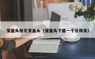 宝盖头加元宝盖头（宝盖头下面一个元和支）