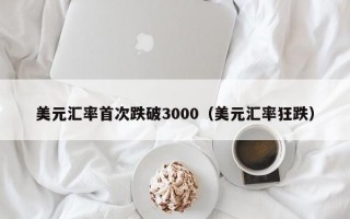 美元汇率首次跌破3000（美元汇率狂跌）