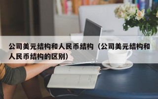 公司美元结构和人民币结构（公司美元结构和人民币结构的区别）