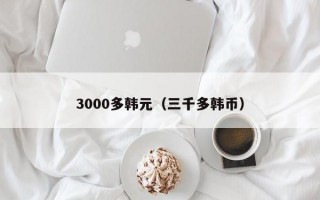 3000多韩元（三千多韩币）