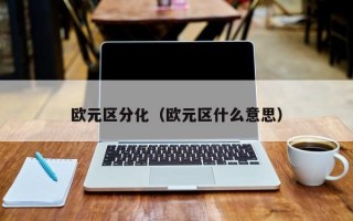 欧元区分化（欧元区什么意思）