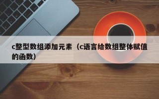 c整型数组添加元素（c语言给数组整体赋值的函数）