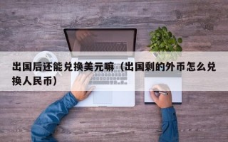 出国后还能兑换美元嘛（出国剩的外币怎么兑换人民币）