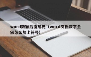 word数额后面加元（word文档数字金额怎么加上符号）