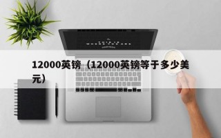 12000英镑（12000英镑等于多少美元）