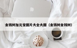 金钱树加元宝图片大全大图（金钱树金钱树）