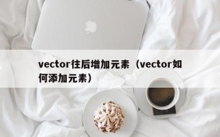 vector往后增加元素（vector如何添加元素）