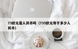 73欧元是人民币吗（735欧元等于多少人民币）