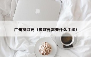 广州换欧元（换欧元需要什么手续）