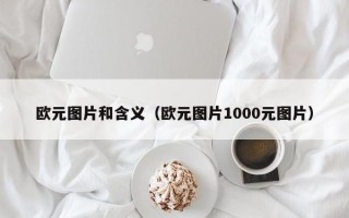 欧元图片和含义（欧元图片1000元图片）