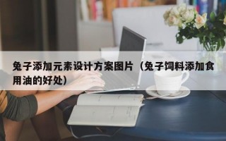 兔子添加元素设计方案图片（兔子饲料添加食用油的好处）