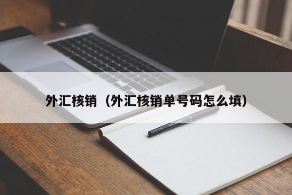 外汇核销（外汇核销单号码怎么填）