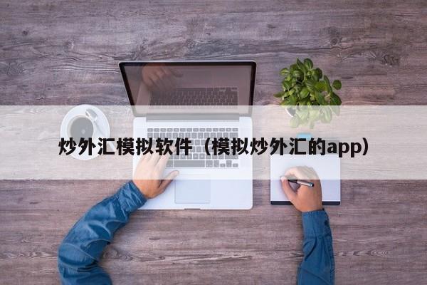 炒外汇模拟软件（模拟炒外汇的app）