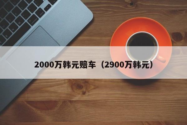 2000万韩元赔车（2900万韩元）