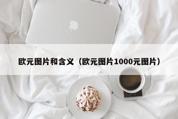 欧元图片和含义（欧元图片1000元图片）