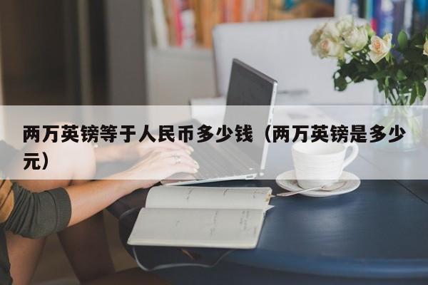 两万英镑等于人民币多少钱（两万英镑是多少元）