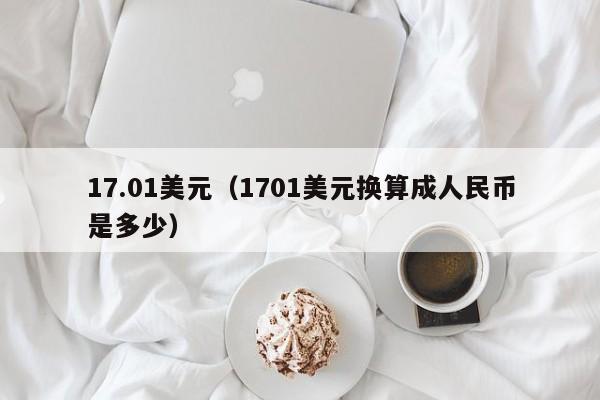 17.01美元（1701美元换算成人民币是多少）