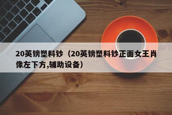 20英镑塑料钞（20英镑塑料钞正面女王肖像左下方,辅助设备）