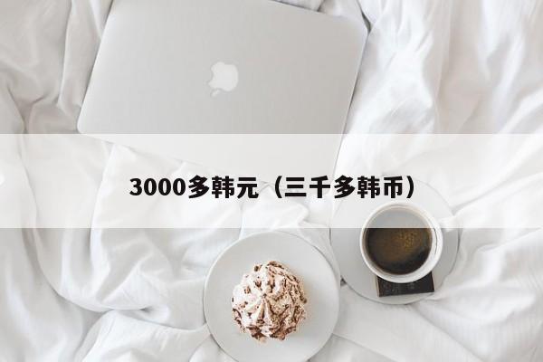 3000多韩元（三千多韩币）