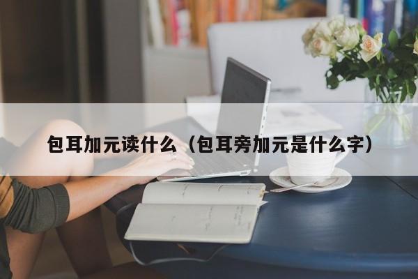 包耳加元读什么（包耳旁加元是什么字）