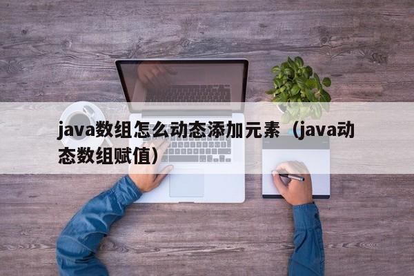 java数组怎么动态添加元素（java动态数组赋值）