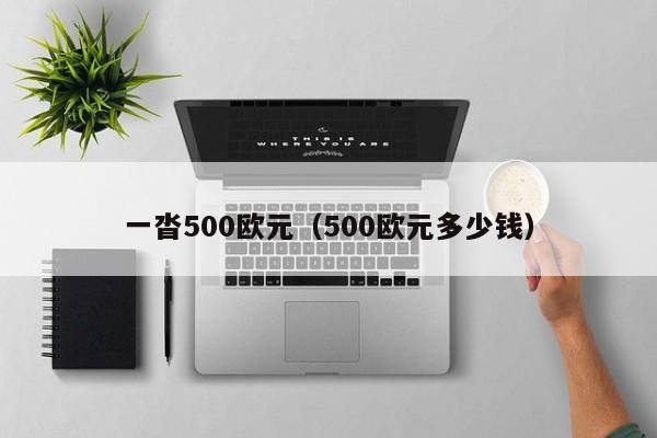 一沓500欧元（500欧元多少钱）