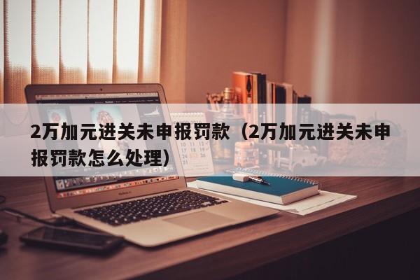 2万加元进关未申报罚款（2万加元进关未申报罚款怎么处理）