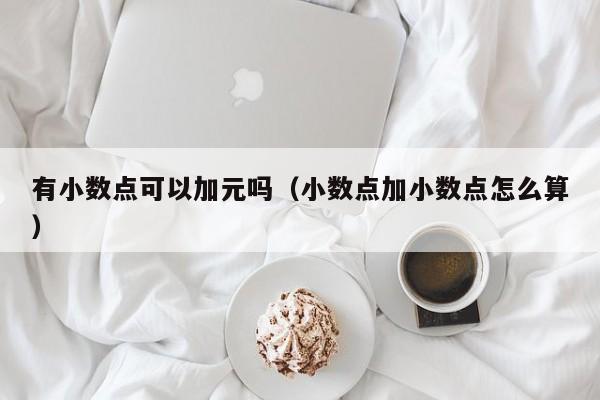 有小数点可以加元吗（小数点加小数点怎么算）