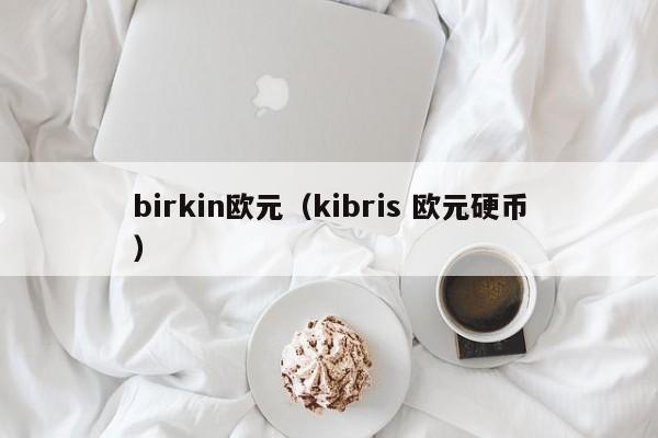 birkin欧元（kibris 欧元硬币）