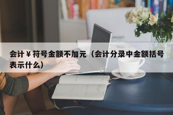 会计￥符号金额不加元（会计分录中金额括号表示什么）