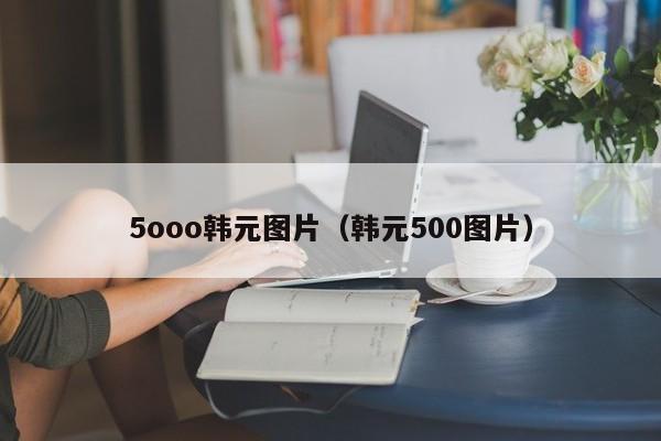 5ooo韩元图片（韩元500图片）