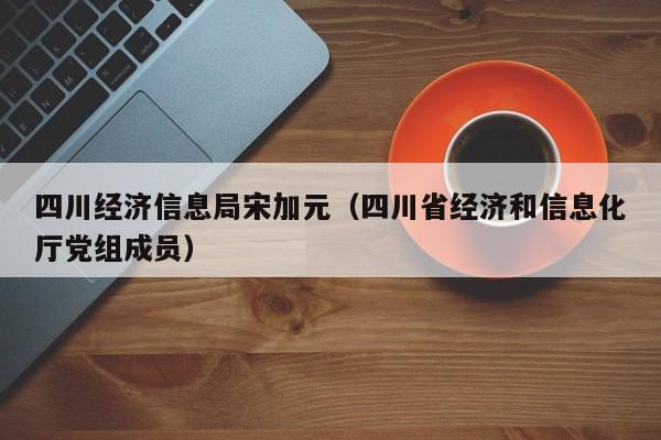 四川经济信息局宋加元（四川省经济和信息化厅党组成员）