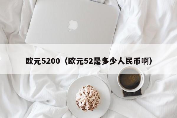 欧元5200（欧元52是多少人民币啊）