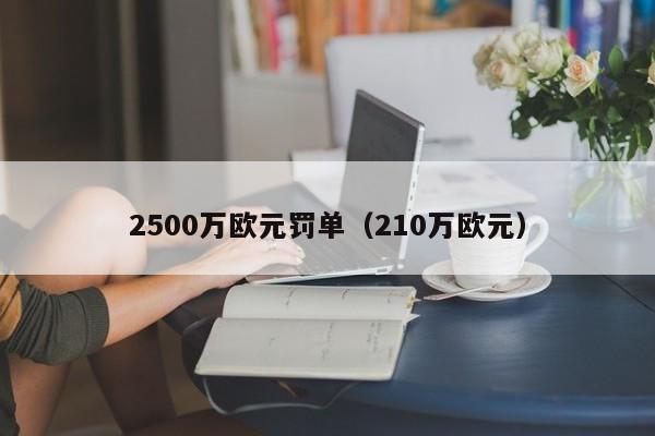 2500万欧元罚单（210万欧元）