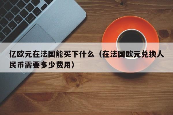 亿欧元在法国能买下什么（在法国欧元兑换人民币需要多少费用）