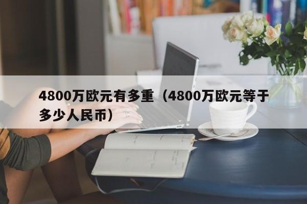 4800万欧元有多重（4800万欧元等于多少人民币）