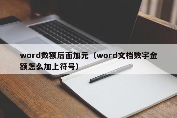 word数额后面加元（word文档数字金额怎么加上符号）