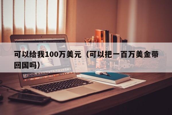 可以给我100万美元（可以把一百万美金带回国吗）