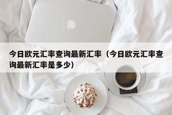 今日欧元汇率查询最新汇率（今日欧元汇率查询最新汇率是多少）