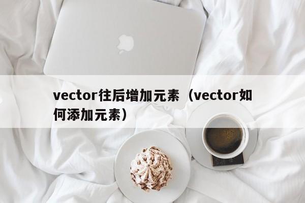 vector往后增加元素（vector如何添加元素）