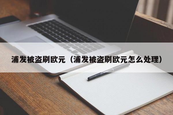 浦发被盗刷欧元（浦发被盗刷欧元怎么处理）